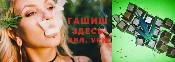 гидра Вязьма