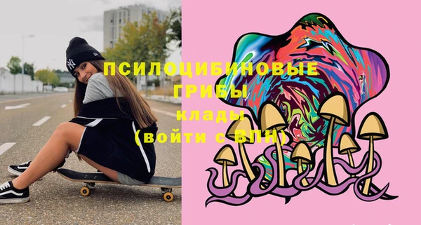 2c-b Абдулино