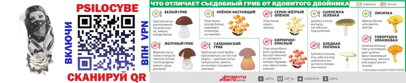 Псилоцибиновые грибы мухоморы  Чегем 